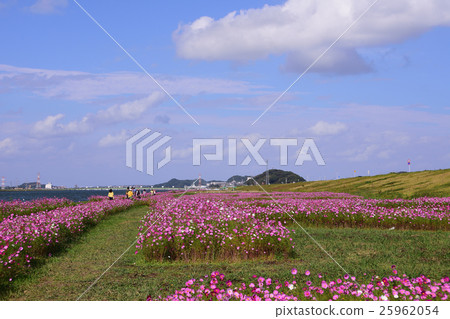 Mizumaki鎮的宇宙 25962054