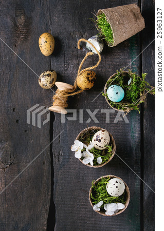 Colorful Easter quail eggs Colorful Easter quail eggs 25963127