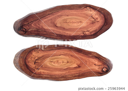 Wood texture of cut tree trunk 25963944