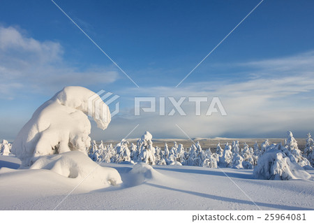 Sunny winter landscape in Lapland 25964081
