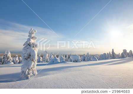 Sunny winter landscape in Lapland 25964083