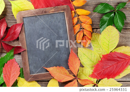 Autumn chalkboard and leaves Autumn chalkboard and leaves 25964331
