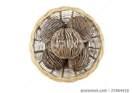 dried cerbera odd loam's seeds on white background 25964918