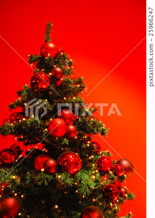 Green Christmas tree on beautiful background. 25966247
