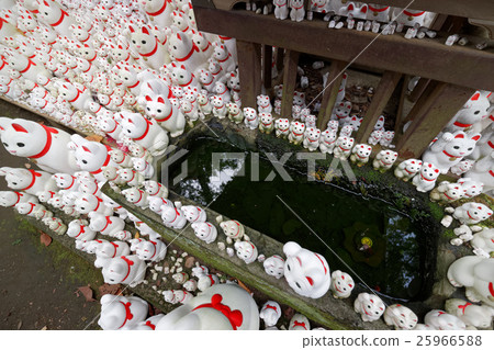 Futatsukuji的幸運貓 Futatsukuji的幸運貓 25966588