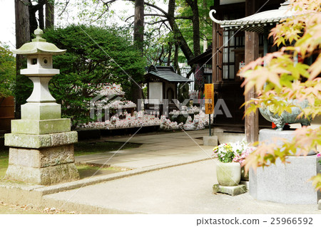 The lucky cat of Futatsukuji 25966592