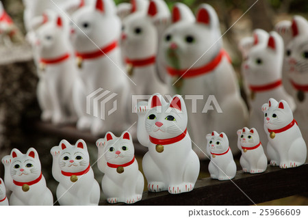 The lucky cat of Futatsukuji 25966609