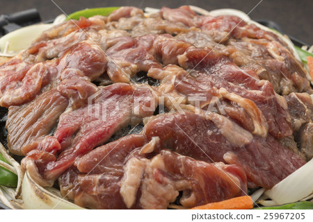 成吉思汗 25967205