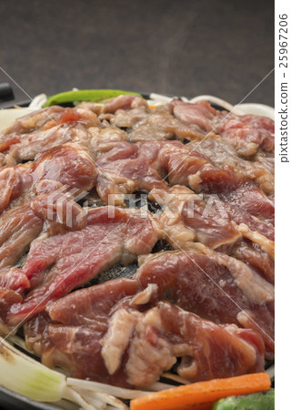 Genghis Khan  25967206