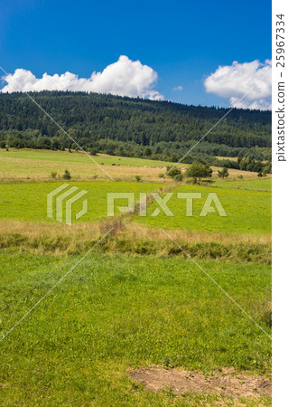 Green field and blue sky with white clouds summer  25967334