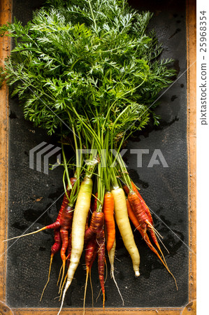 colorful carrots colorful carrots 25968354