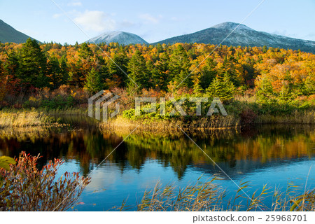 荷花早晨秋葉的黃昏 荷花早晨秋葉的黃昏 25968701