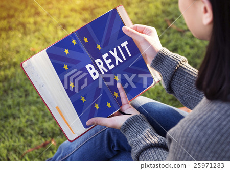 Britain EU Brexit Referendum Concept 25971283