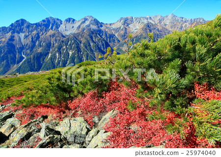 Autumn tints of spiders and spears and Hodaka mountains of Butterfly Mountains 25974040