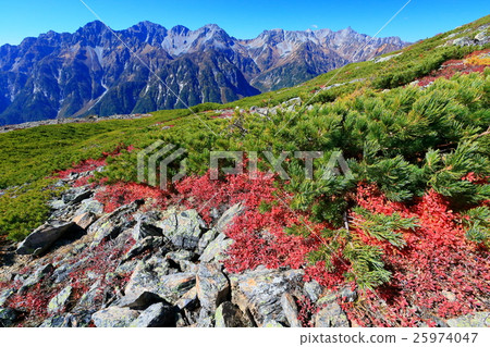 Autumn tints of spiders and spears and Hodaka mountains of Butterfly Mountains 25974047