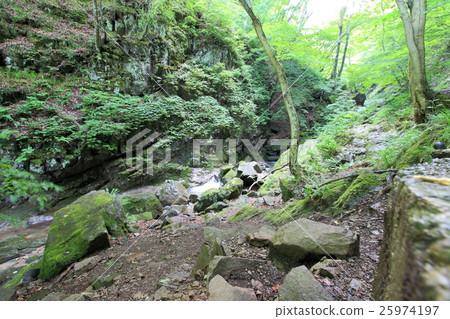 Miyagi · Sendai · Akiho 25974197