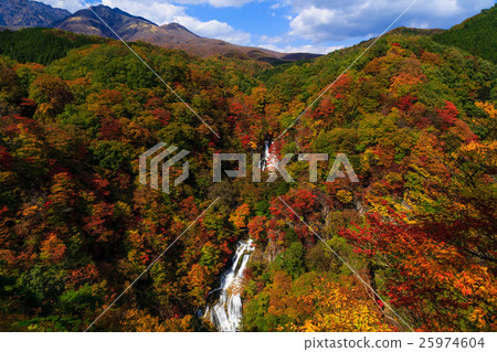 Misty waterfall Misty waterfall 25974604