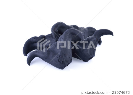 boiled bull horn Shaped Water Caltrop nut on white 25974673