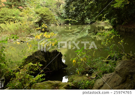 Sanshiro pond at the University of Tokyo 25974765