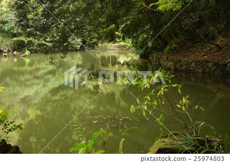Sanshiro pond at the University of Tokyo Sanshiro pond at the University of Tokyo 25974803