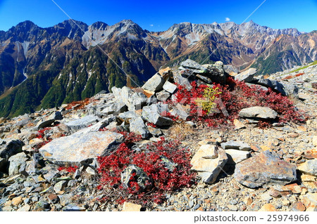 Autumn tints of black bean sprouts on the butterfly mountain ridge and spear / Hodaka mountains 25974966