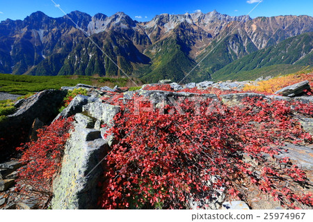 Autumn tints of black bean sprouts on the butterfly mountain ridge and spear / Hodaka mountains 25974967