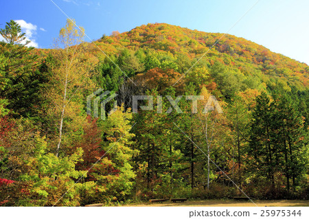 秋葉的Okuhiko 25975344