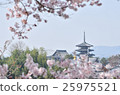 Horyuji temple seen by cherry blossoms 25975521
