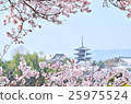 Horyuji temple seen by cherry blossoms 25975524