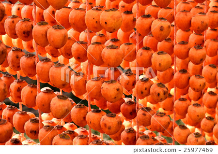 Kushimaki no Sato 4-gun persimmon 25977469