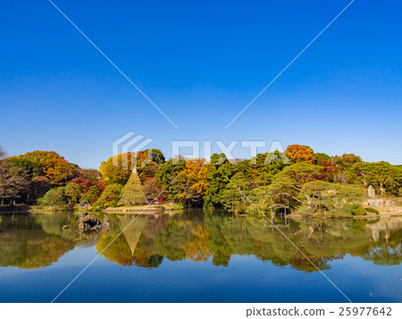 東京Rokugishien秋葉 東京Rokugishien秋葉 25977642