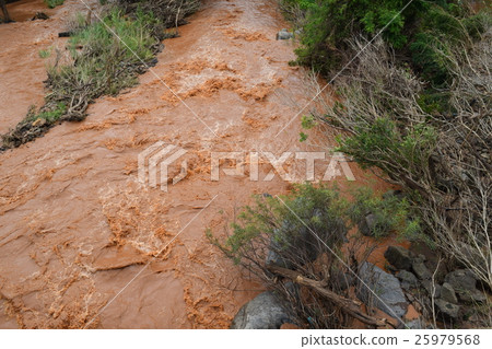 flood river with red alluvial flowing water flood river with red alluvial flowing water 25979568
