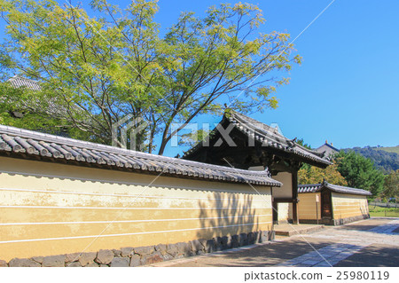 東大寺 東大寺 25980119