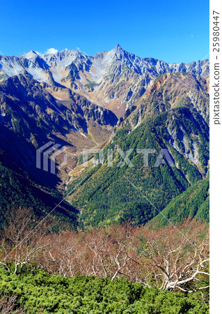 From the butterfly mountain / Triennial mountains to Mt. Yagetake and the deciduous bamboo shoots From the butterfly mountain / Triennial mountains to Mt. Yagetake and the deciduous bamboo shoots 25980447