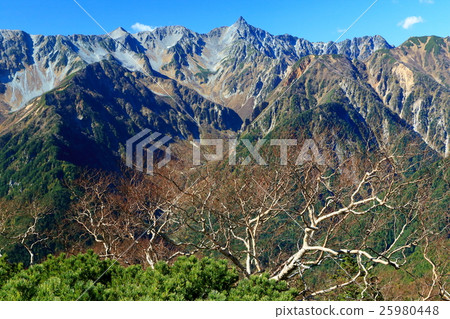 From the butterfly mountain / Triennial mountains to Mt. Yagetake and the deciduous bamboo shoots From the butterfly mountain / Triennial mountains to Mt. Yagetake and the deciduous bamboo shoots 25980448
