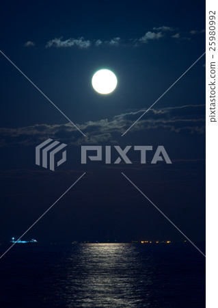 Moonlight of Tokyo Bay 25980992