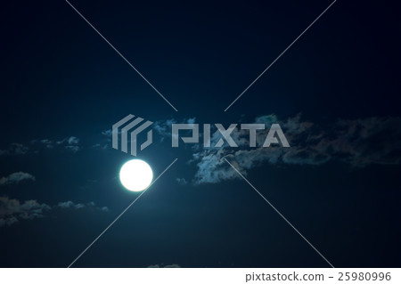 Moonlight of Tokyo Bay Moonlight of Tokyo Bay 25980996