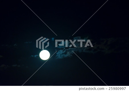 Moonlight of Tokyo Bay 25980997