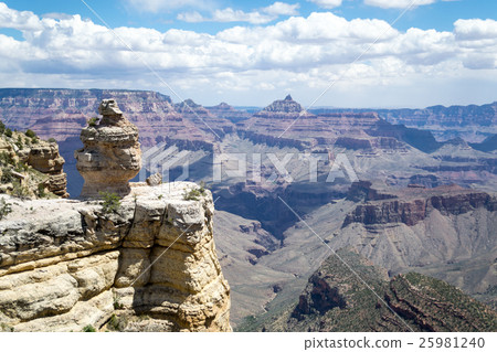 Overlooking the Grand Canyon 25981240