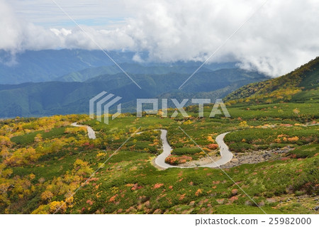 Norikura echo line autumn leaves 25982000