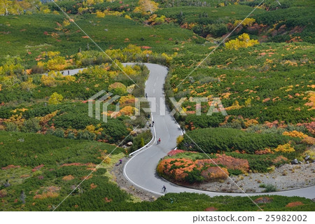 Norikura迴聲線秋葉 25982002