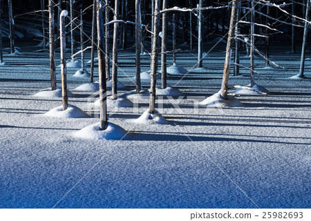 Biei's Blue Pond Biei's Blue Pond 25982693