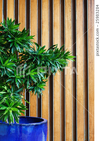 Hotel lobby with green plant 25983284