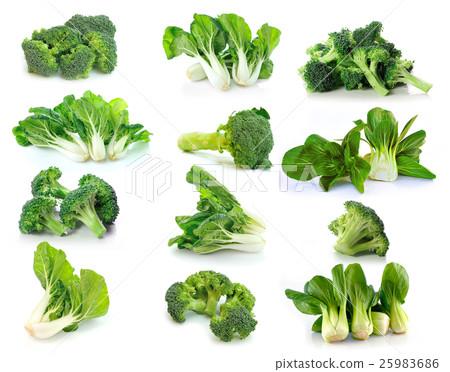 Broccoli and Bok choy vegetable Broccoli and Bok choy vegetable 25983686