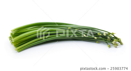 onion flowers isolated on white background 25983774