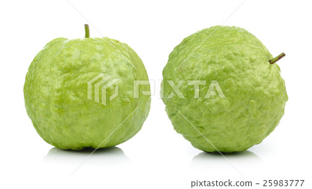 guava fruit on white background 25983777