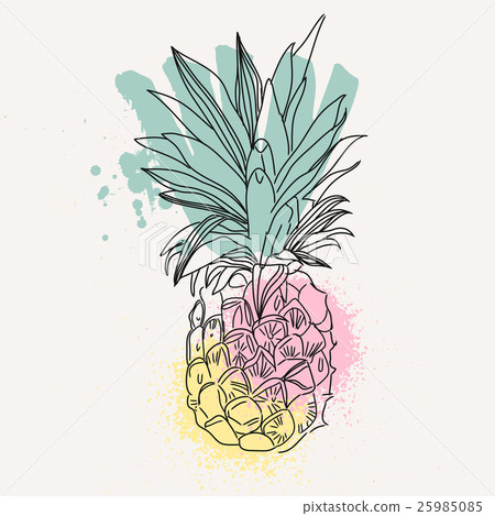 Pineapple tropical fruit. Vector object. - Stock Illustration [25985085 ...