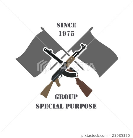 Firearm logo template. Guns, rifles badge 25985350