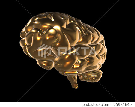 3d render of golden brain on black background - Stock Illustration ...