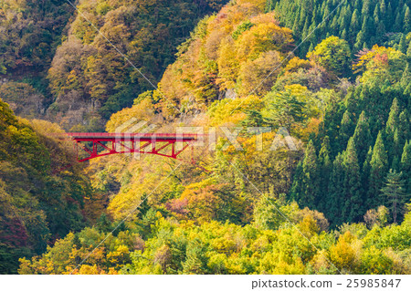 Takai Bridge Takai Bridge 25985847